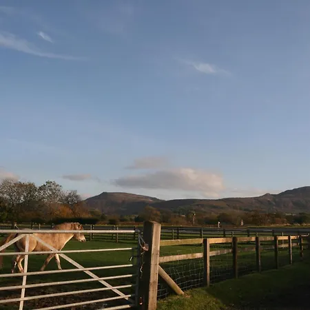 بيت للعطل Dairy Nr Stokesley Carlton-in-Cleveland