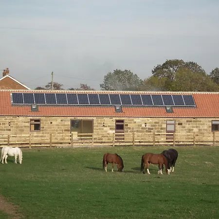 Dairy Nr Stokesley * Carlton-in-Cleveland