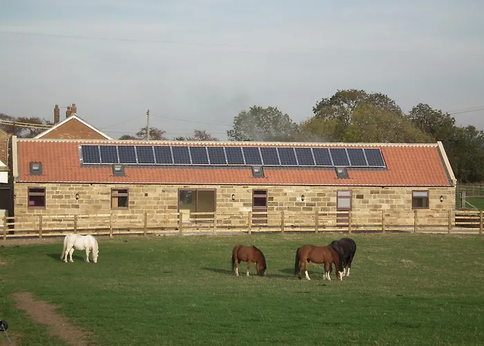Dairy Nr Stokesley * Carlton-in-Cleveland