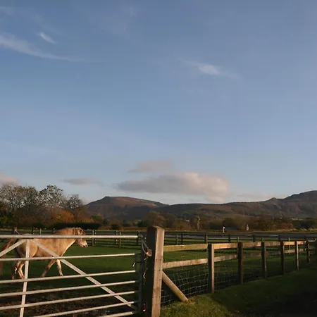 Dairy Nr Stokesley